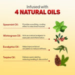 Load image into Gallery viewer, Diclowin Active Pain Relief Roll-On | With 4 Natural Oils, Camphor & Menthol | Ideal For Headache, Muscle & Joint Pain | Non-Greasy & Easy to Use | 10ml