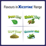 Load image into Gallery viewer, Nicotine 2mg Sugar Free Gum | ShaandarMint Flavour | Freedom from Smoking | Easy on Throat | WHO Approved | Shaandar mint