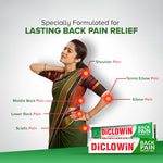Load image into Gallery viewer, DiCLOWiN Knee Oil(60ml) &amp; Back Pain Relief Gel Combo
