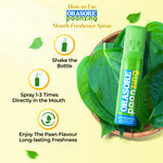 Load image into Gallery viewer, PaanZing Instant Mouth Freshener Spray by Orasore | Paan, Aloe Vera, Pudina, Peppermint, Cinnamon, Clove &amp; Elaichi | Anti Bacterial &amp; Long Lasting, Germ-free Blend(Pack of 2)
